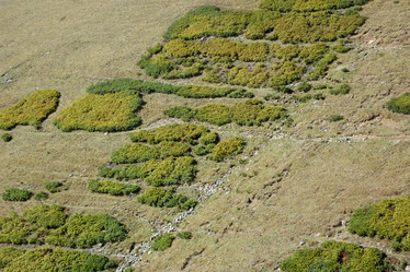 Similar image 21766249