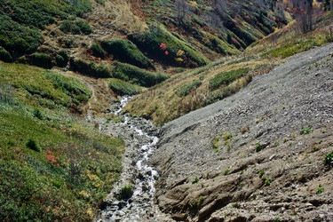 Similar image 21766251