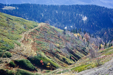 Similar image 21766252