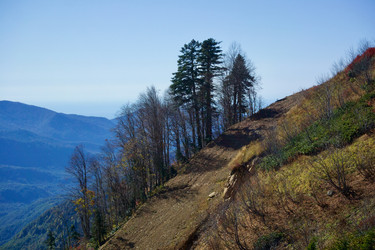 Similar image 21766255