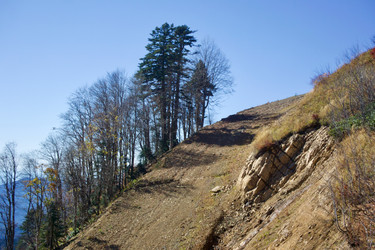 Similar image 21766257