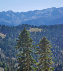 Similar image 21766258