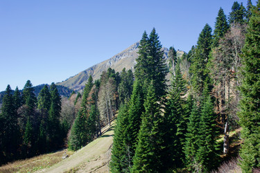 Similar image 21766264