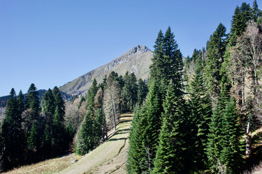 Similar image 21766266