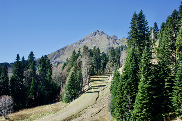 Similar image 21766267