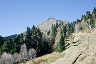 Similar image 21766268