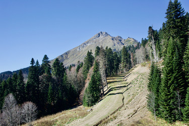 Similar image 21766269