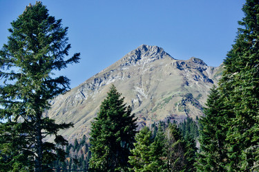 Similar image 21766271