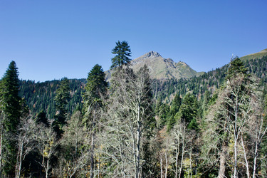 Similar image 21766274