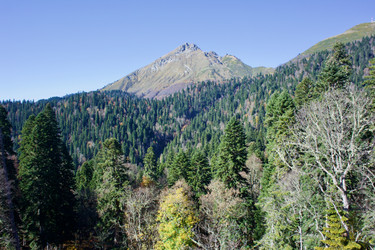 Similar image 21766277