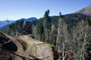 Similar image 21766278