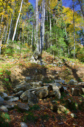 Similar image 21766283