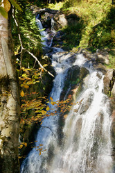 Similar image 21766285