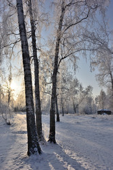 Similar image 21766322