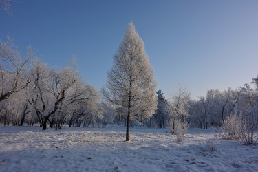 Similar image 21766325