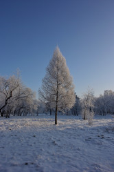 Similar image 21766326