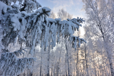 Similar image 21766331