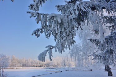 Similar image 21766332