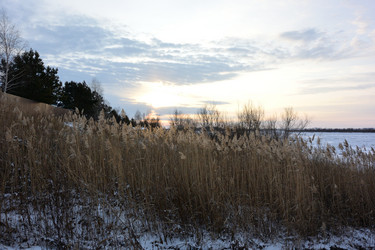 Similar image 21766333