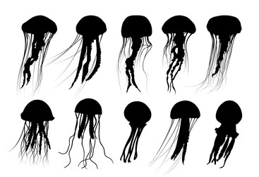 Similar image 21766523