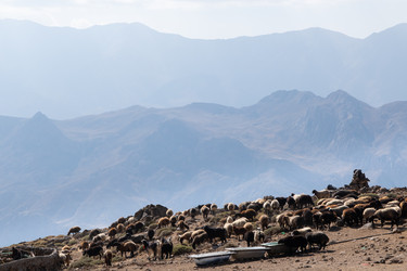 Similar image 21766366