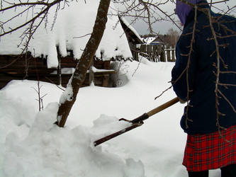 Similar image 21766409