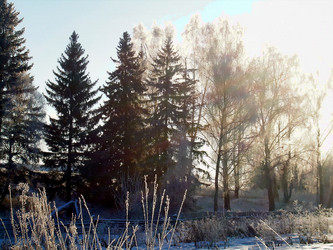 Similar image 21766410