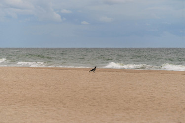 Similar image 21766421