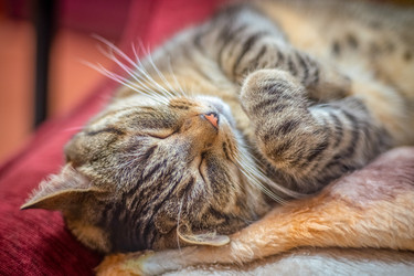 Similar image 21766422