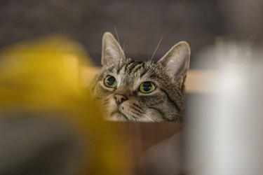 Similar image 21766423