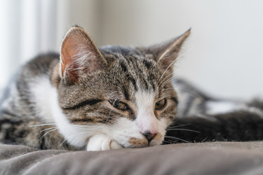 Similar image 21766426