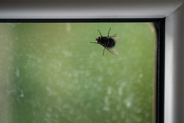 Similar image 21766429