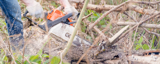 Similar image 21766433