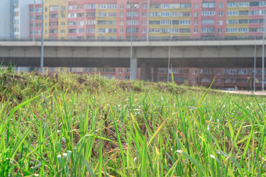 Similar image 21766442