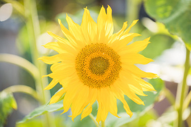 Similar image 21766446