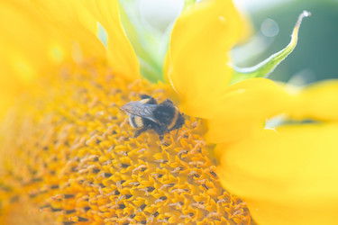 Similar image 21766447