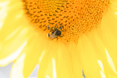 Similar image 21766448