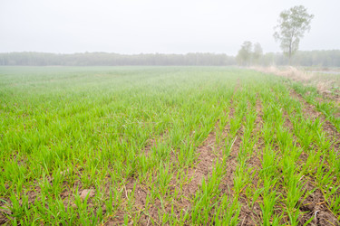 Similar image 21766449