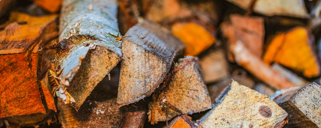 Similar image 21766451