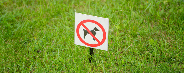 Similar image 21766540