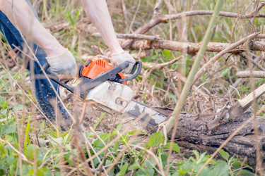 Similar image 21766541