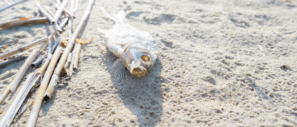 Similar image 21766542