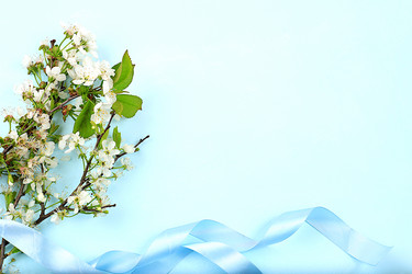 Similar image 21766455