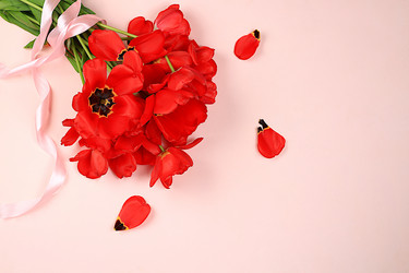 Similar image 21766457