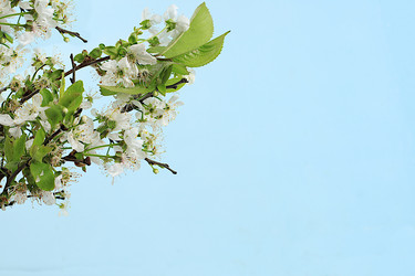 Similar image 21766458