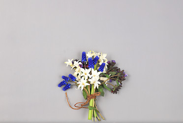 Similar image 21766459