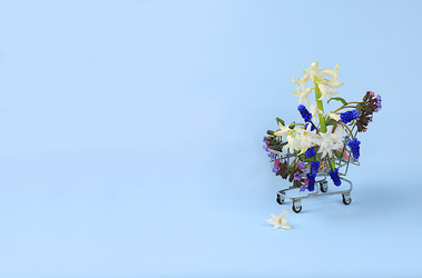 Similar image 21766461