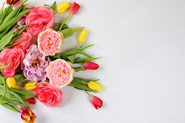 Similar image 21766468