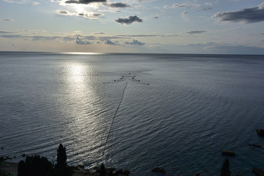 Similar image 21766593