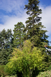 Similar image 21766604